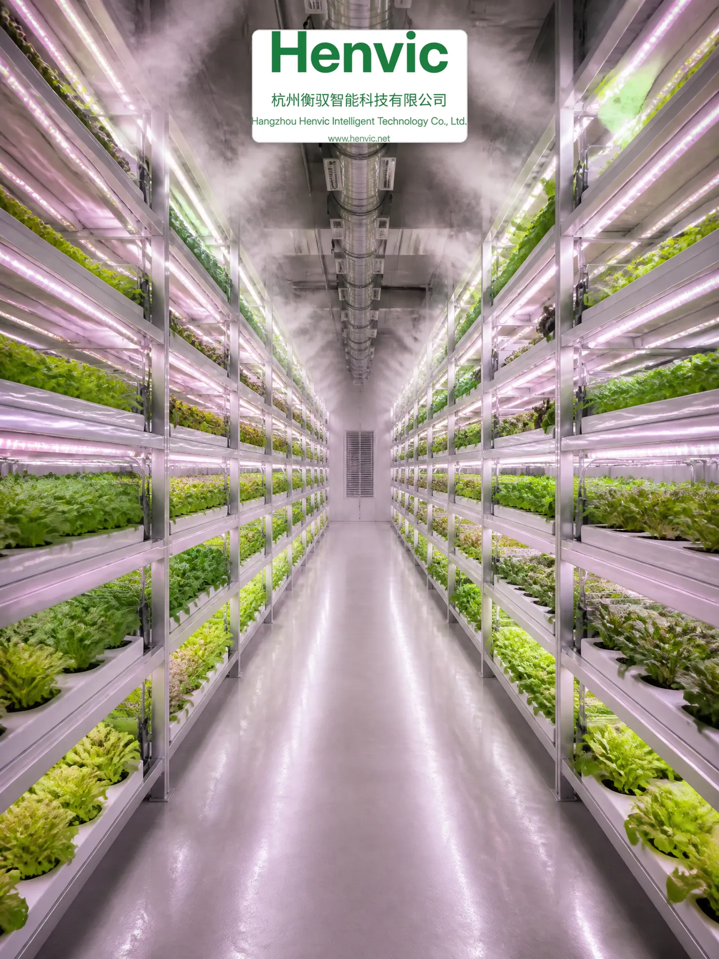 Interior of the large intelligent fruit and vegetable growing cabin