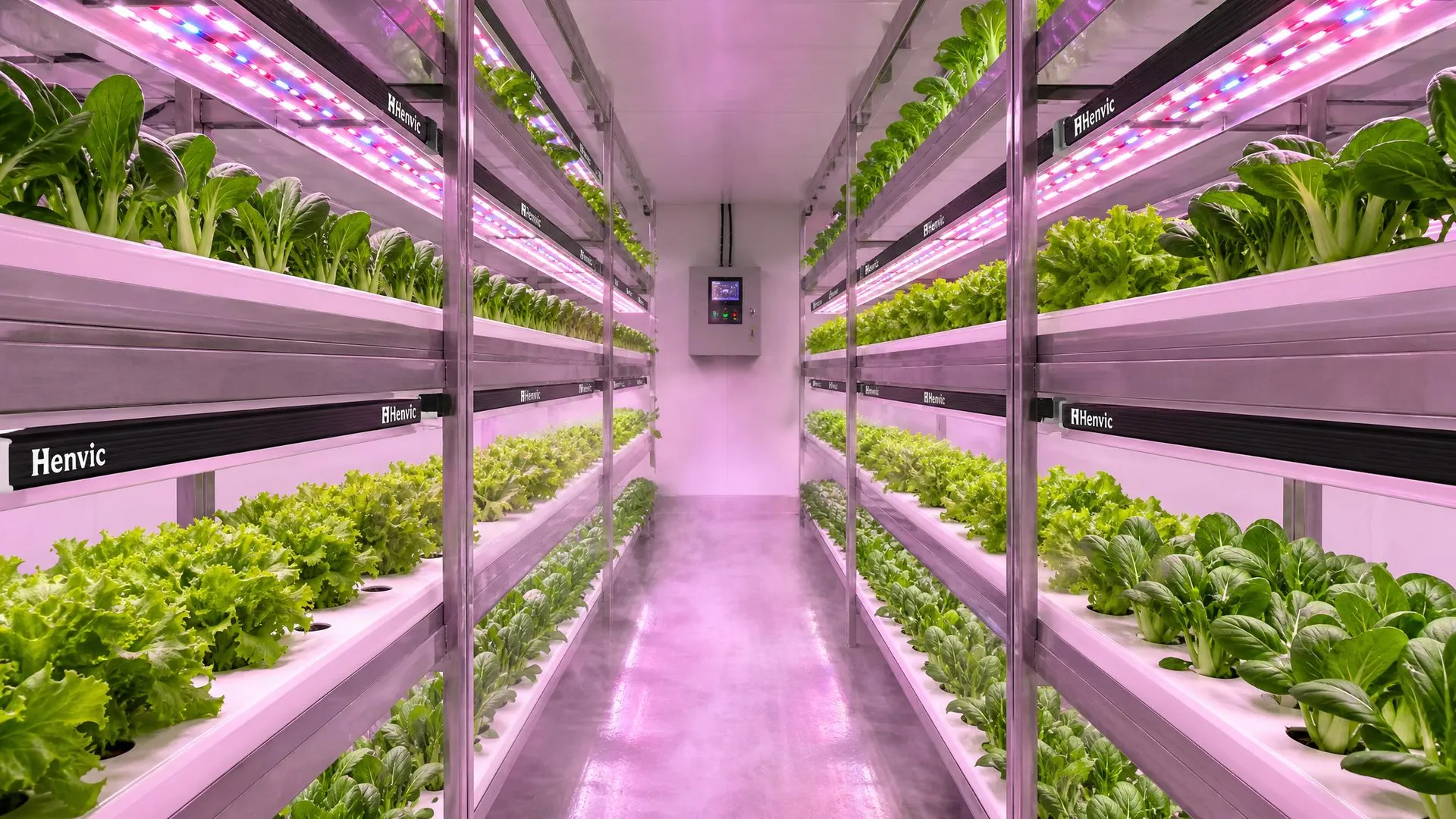 Luz de Preenchimento da Cabine Inteligente de Cultivo de Vegetais e Luz Solar de Preenchimento