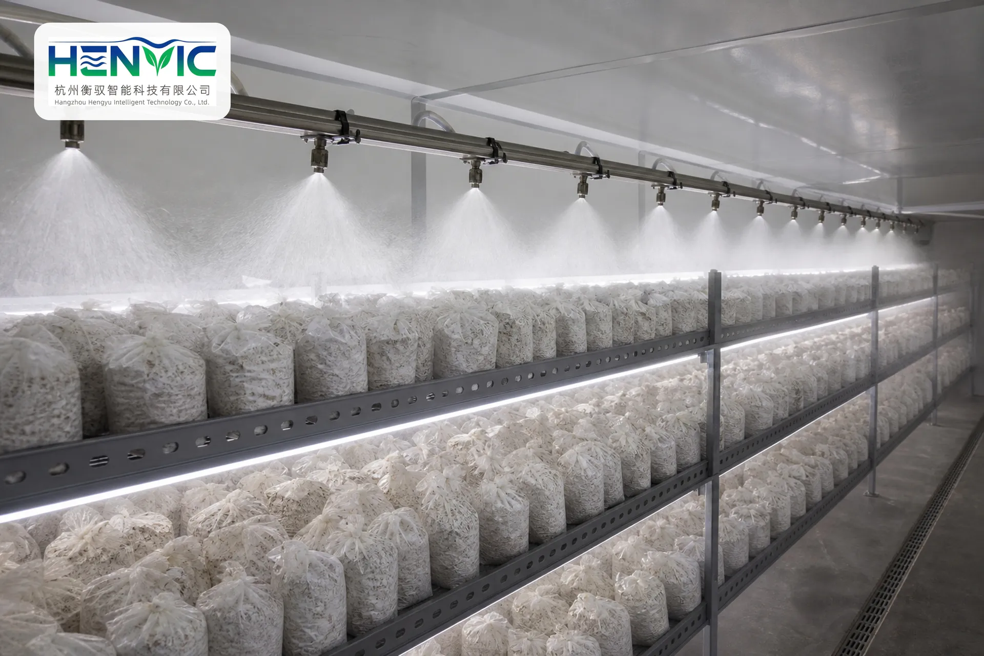 HVC-M08 Shiitake Mushroom (King Oyster Mushroom) | Henvic